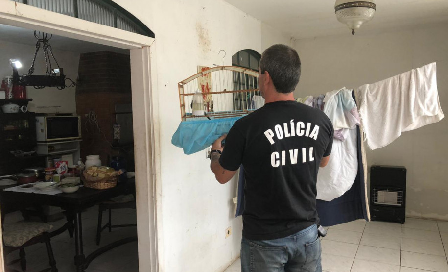 PCPR prende suspeito de manter aves silvestres sem autorização legal