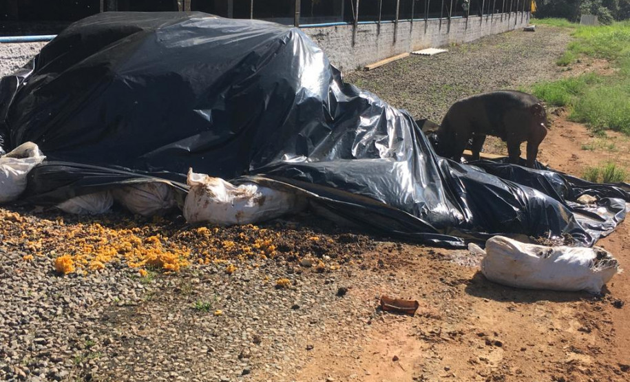 PCPR prende suspeito de poluição ambiental em Araucária