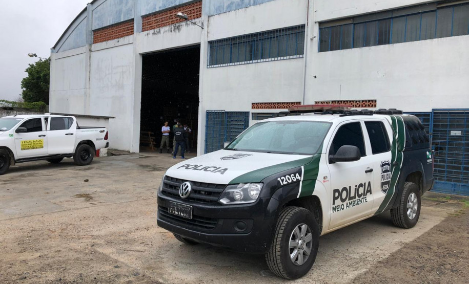 PCPR apreende carga ilegal de madeira que seria enviada para Europa