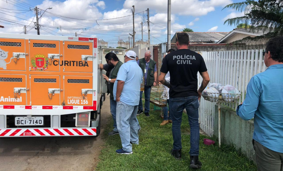 PCPR apreende galos e pássaros silvestres em situação de maus-tratos