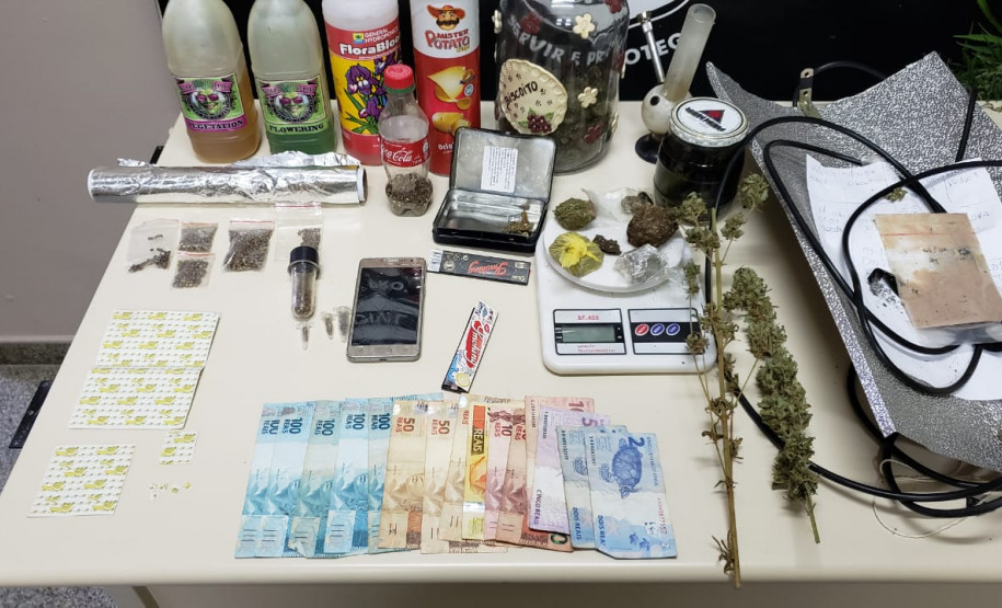 PCPR prende suspeito de tráfico de drogas e apreende pés de maconha e pontos de LSD em Ponta Grossa
