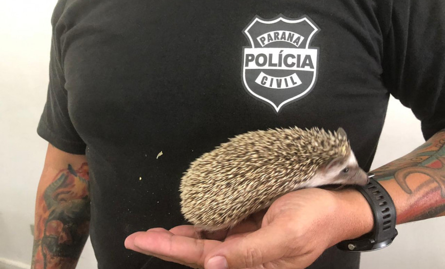 PCPR prende duas pessoas por crime ambiental