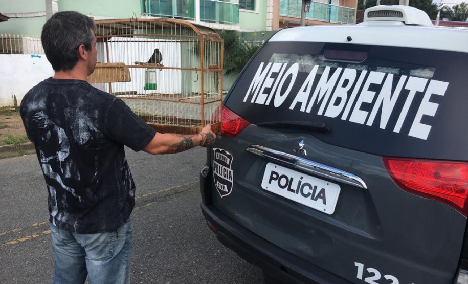 PCPR prende suspeitos de crime ambiental em Curitiba e RMC PCPR prende suspeitos de crime ambiental em Curitiba e RMC