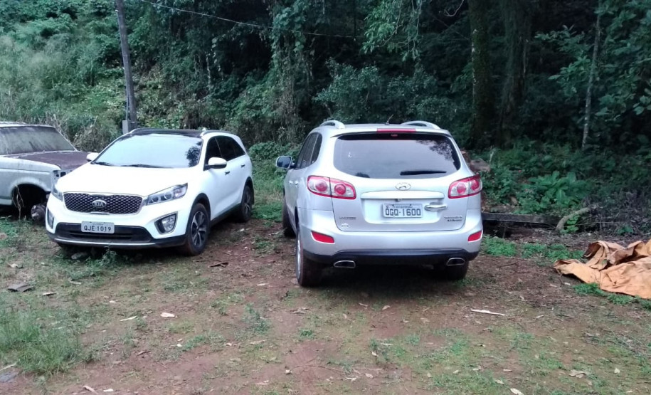 PCPR apreende 700 quilos de maconha em Guaraniaçu --