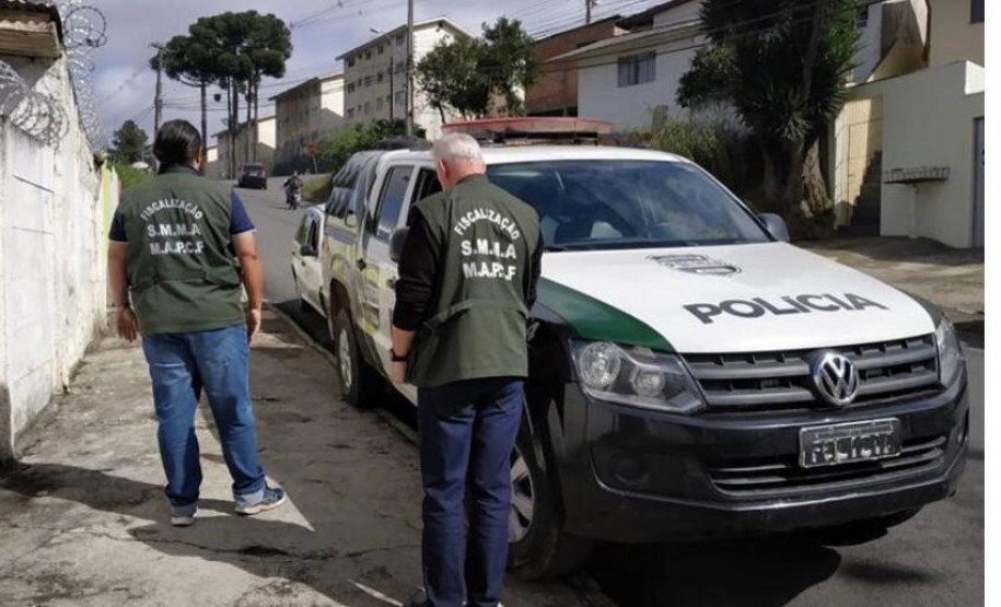 PCPR interdita canil clandestino e apreende 17 cães de raça em Curitiba PCPR interdita canil clandestino e apreende 17 cães de raça em Curitiba