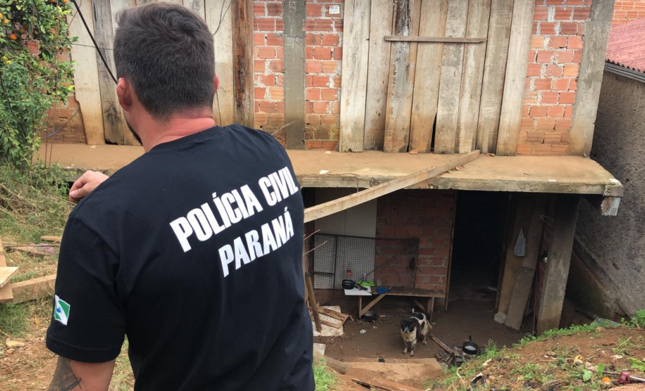PCPR recupera cão em situação de maus-tratos no Pilarzinho