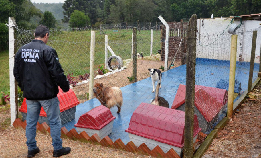 PCPR prende suspeitos de manter um canil clandestino em Fazenda Rio Grande PCPR prende suspeitos de manter um canil clandestino em Fazenda Rio Grande