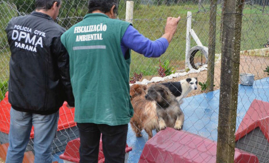 PCPR prende suspeitos de manter um canil clandestino em Fazenda Rio Grande PCPR prende suspeitos de manter um canil clandestino em Fazenda Rio Grande