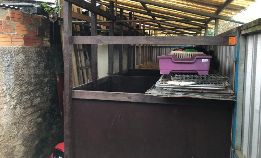 PCPR prende suspeita de manter canil clandestino no bairro Xaxim PCPR prende suspeita de manter canil clandestino no bairro Xaxim