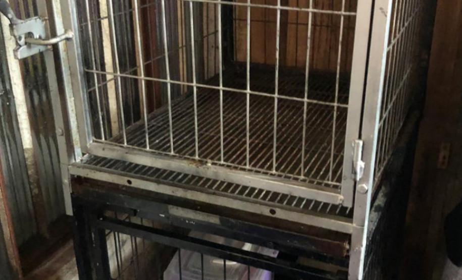 PCPR prende suspeita de manter canil clandestino no bairro Xaxim PCPR prende suspeita de manter canil clandestino no bairro Xaxim