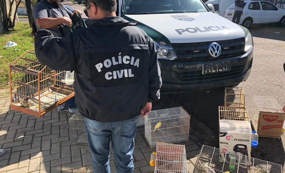 PCPR recupera 11 pássaros mantidos em cativeiro e prende homem por maus-tratos em Curitiba PCPR recupera 11 pássaros mantidos em cativeiro e prende homem por maus-tratos em Curitiba