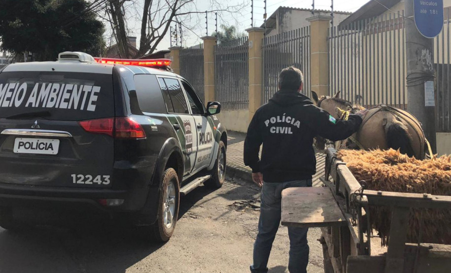 PCPR prende homem por maltratar cavalo em Curitiba PCPR prende homem por maltratar cavalo em Curitiba