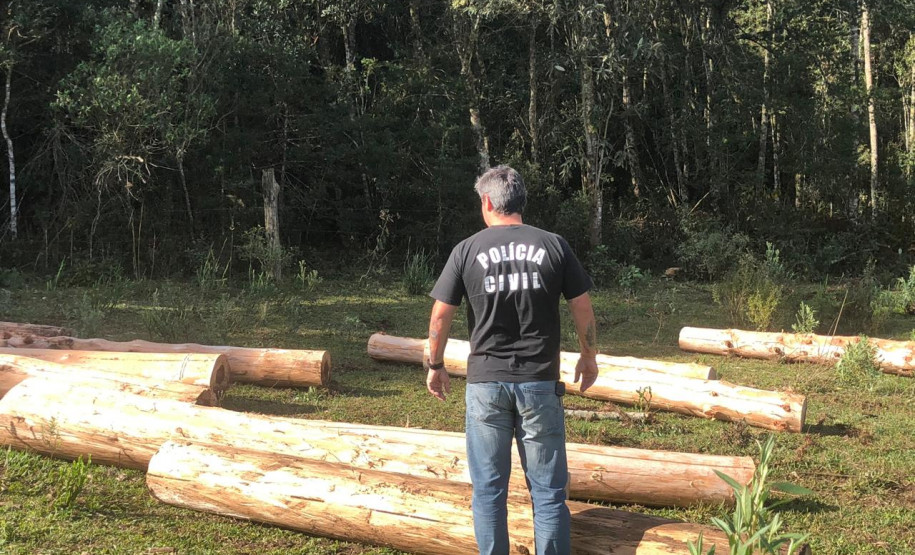 PCPR prende empresário por crime ambiental na RMC
