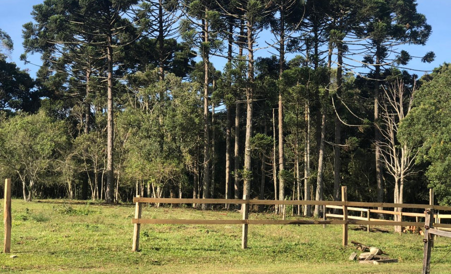 PCPR prende empresário por crime ambiental na RMC