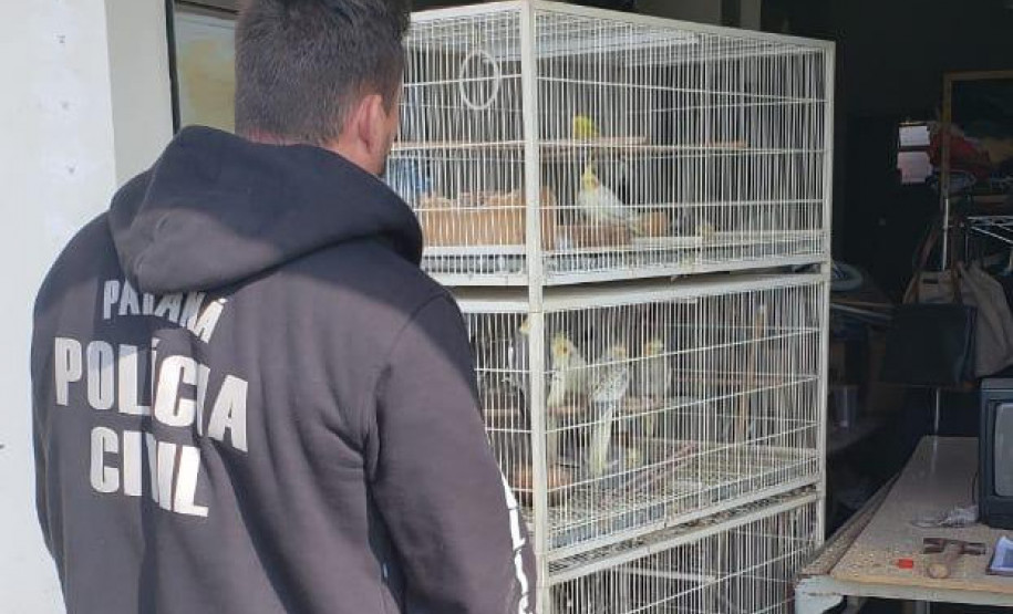 PCPR prende suspeito por maus-tratos de animais em Colombo