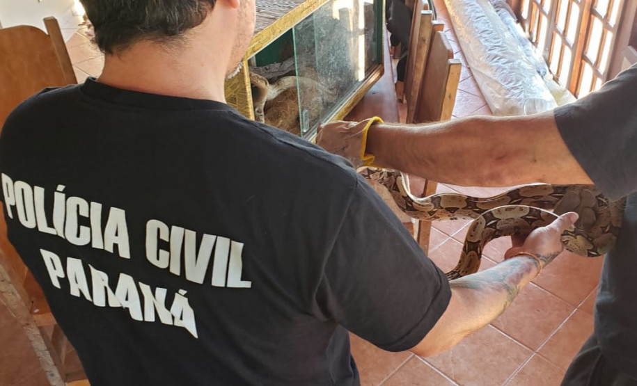 PCPR prende homem por manter répteis em situação ilegal em Quatro Barras