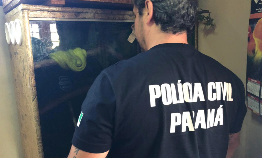 PCPR prende homem por manter répteis em situação ilegal em Quatro Barras