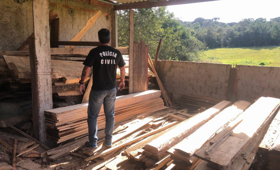 PCPR prende homem por manter répteis em situação ilegal em Quatro Barras