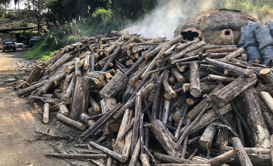 PCPR prende proprietário de carvoaria clandestina na RMC