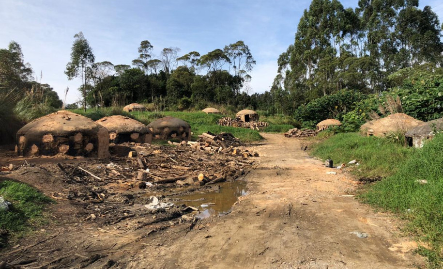 PCPR prende proprietário de carvoaria clandestina na RMC