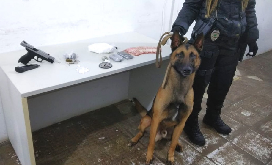 PCPR realiza operação contra o tráfico de drogas em Fazenda Rio Grande PCPR realiza operação contra o tráfico de drogas em Fazenda Rio Grande