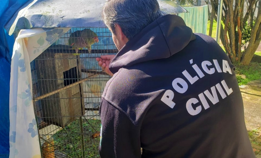 PCPR prende três pessoas por cometerem crimes ambientais na Capital PCPR prende três pessoas por cometerem crimes ambientais na Capital