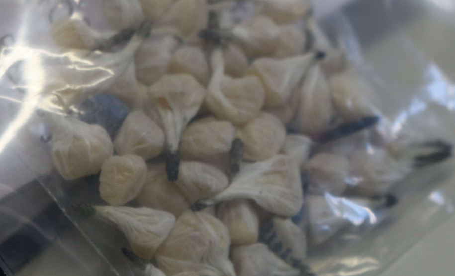 PCPR recupera bicicleta furtada e prende jovem em posse de drogas e arma de fogo