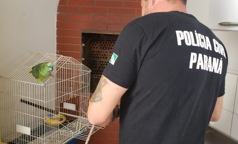 PCPR realiza ações de combate ao crime ambiental e prende quatro pessoas em ações diversas