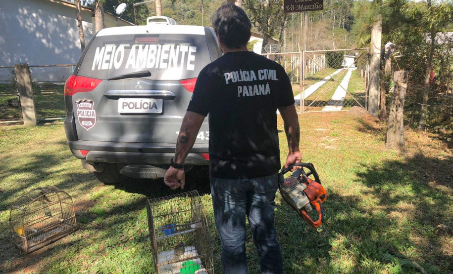 PCPR realiza ações de combate ao crime ambiental e prende quatro pessoas em ações diversas