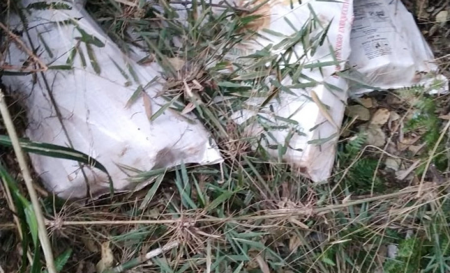 PCPR apreende 211 quilos de maconha em Cascavel