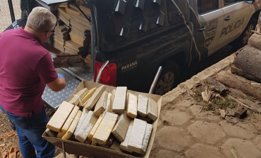 Polícia Civil incinera 680 quilos de maconha em São Mateus do Sul