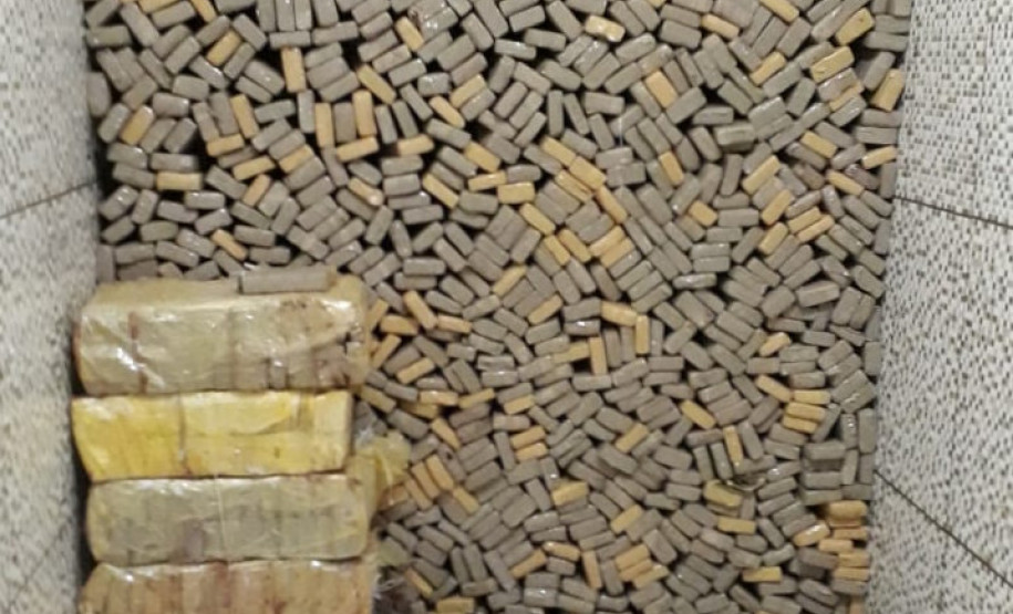 Polícia Civil incinera 680 quilos de maconha em São Mateus do Sul