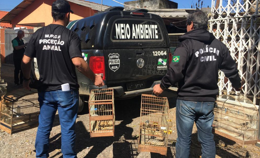 PCPR recupera seis aves silvestres em cativeiro