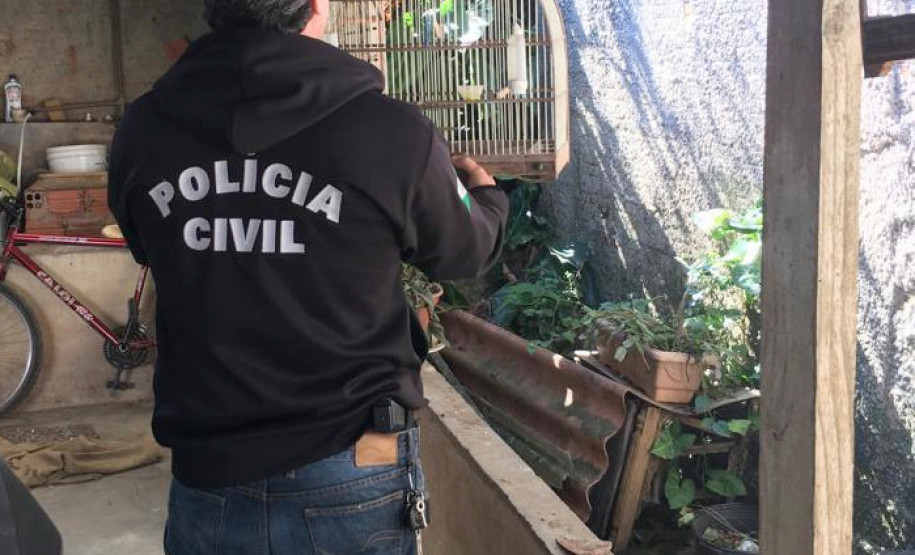 PCPR recupera seis aves silvestres em cativeiro