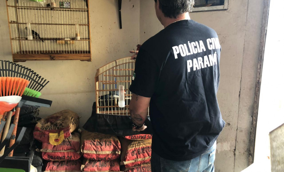 PCPR prende dois suspeitos de crimes ambientais em Curitiba e RMC