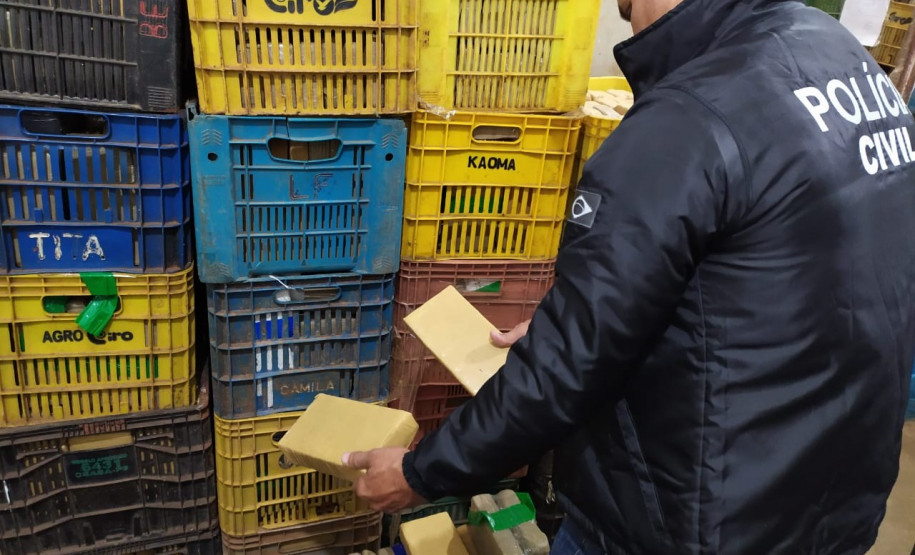 PCPR apreende mais de meia tonelada de maconha em Foz do Iguaçu