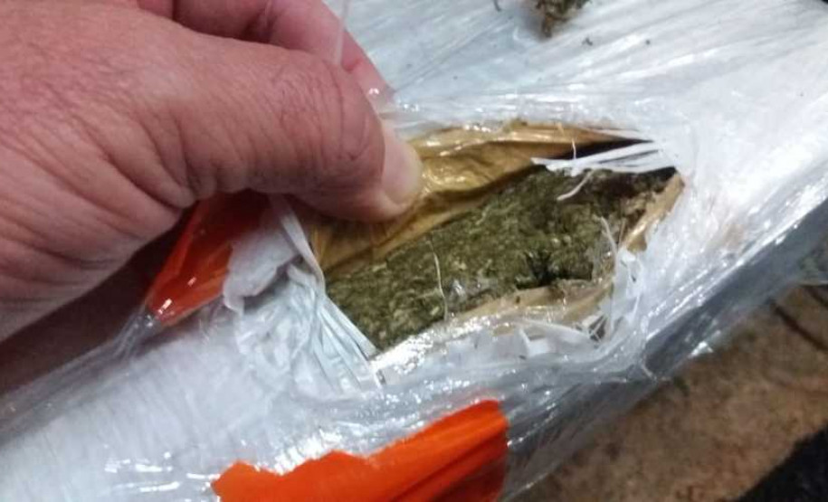 PCPR apreende cerca de 7,7 toneladas de maconha em quatro dias