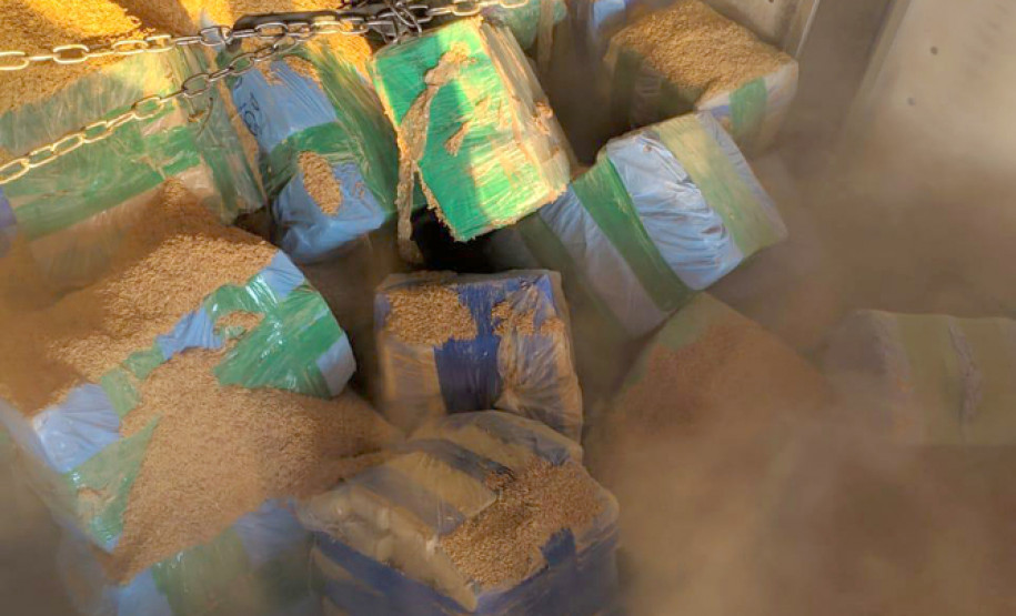 PCPR apreende cerca de 7,7 toneladas de maconha em quatro dias