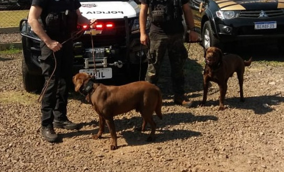 PCPR vistoria Presídio Federal de Catanduvas em apoio ao Depen Nacional