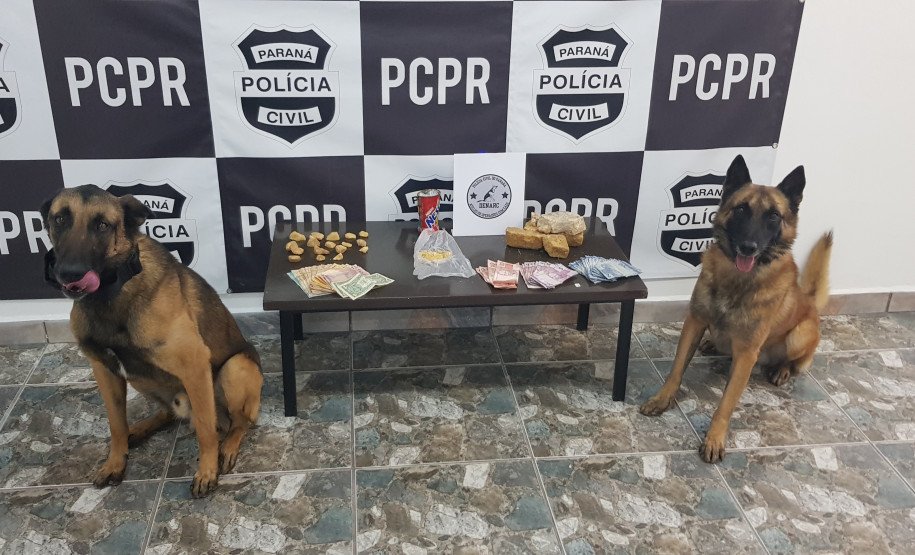 PCPR deflagra operação e apreende drogas com o apoio de cães farejadores PCPR deflagra operação e apreende drogas com o apoio de cães farejadores