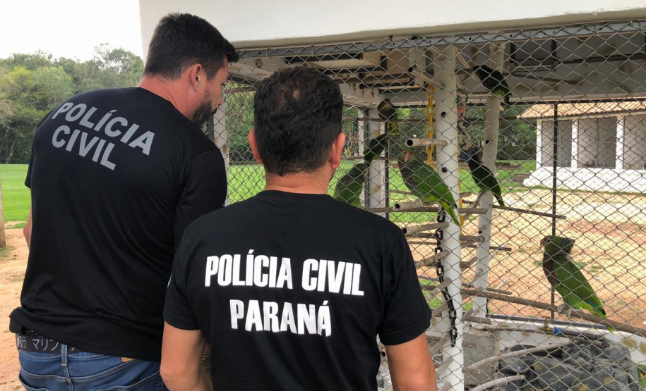 PCPR apreende aves ameaçadas de extinção em cativeiro na RMC