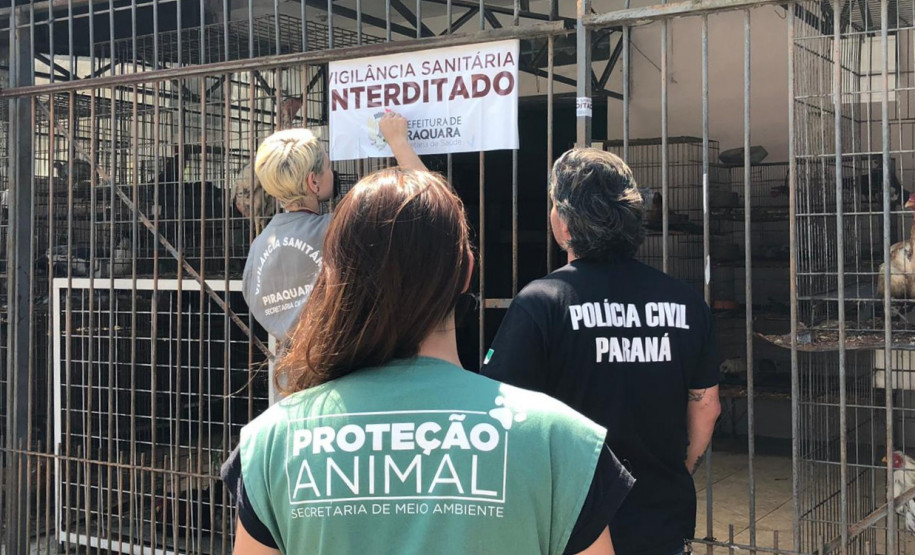 PCPR interdita aviário com 167 animais em situação de maus-tratos na RMC
