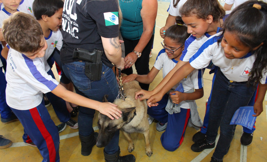 PCPR leva serviços e informação ao Paraná Cidadão em Colombo
