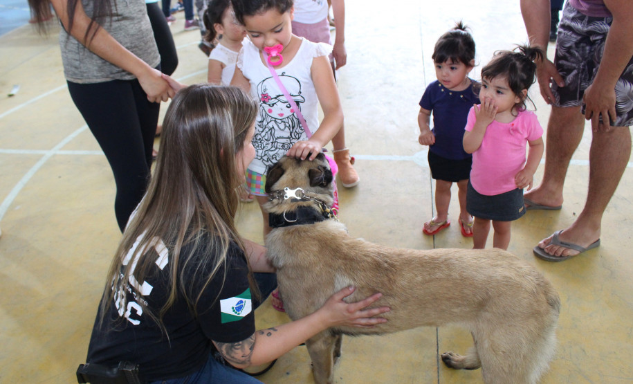 PCPR leva serviços e informação ao Paraná Cidadão em Colombo