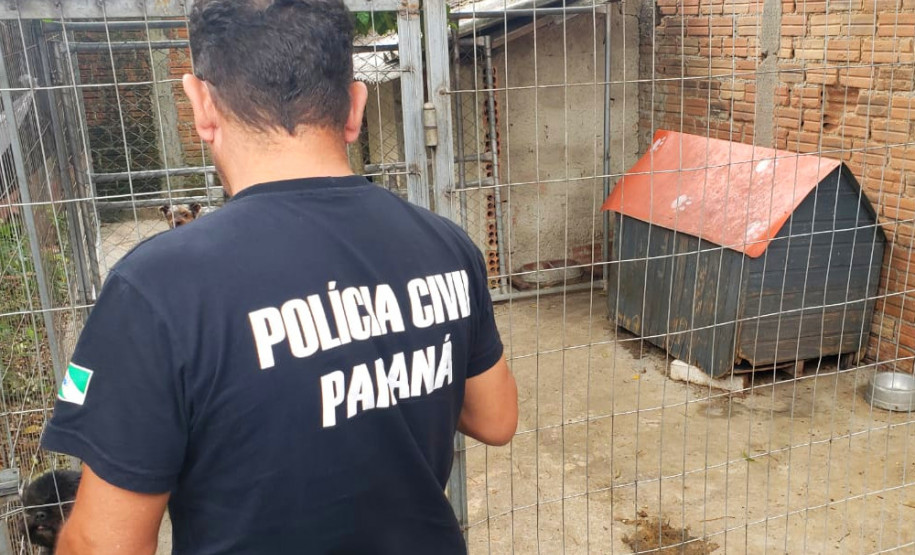 PCPR fecha canil clandestino e resgata animais em situação de maus-tratos na RMC