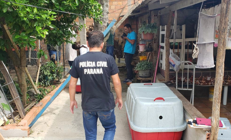 PCPR fecha canil clandestino e resgata animais em situação de maus-tratos na RMC