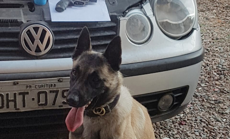 PCPR deflagra operação e cumpre mandados judiciais em Fazenda Rio Grande