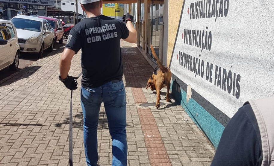 PCPR participa de seminário com cães voltado a busca de pessoas através de odor específico PCPR participa de seminário com cães voltado a busca de pessoas através de odor específico