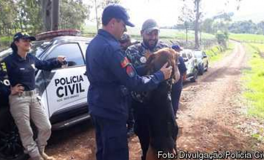 PCPR participa de seminário com cães voltado a busca de pessoas através de odor específico PCPR participa de seminário com cães voltado a busca de pessoas através de odor específico