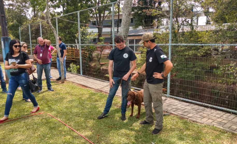 PCPR participa de evento em prevenção do acidente de trabalho em Pato Branco --